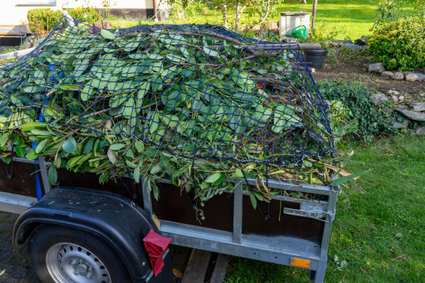 Best Carpet Removal and Disposal  in Woodstown, NJ